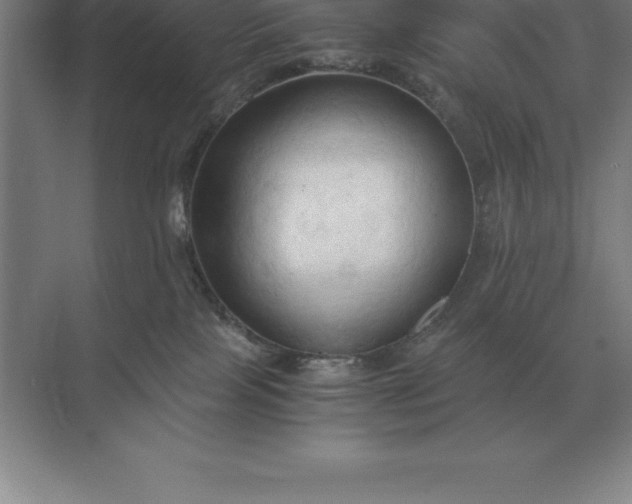 X0000071380089200607071853