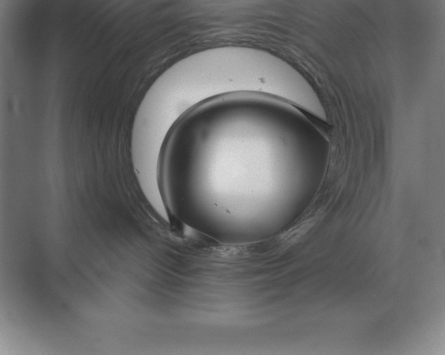 X0000071380096200607071853