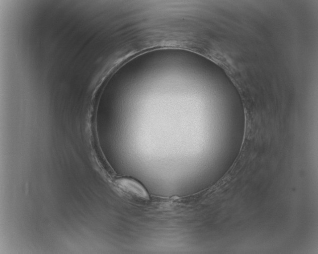 X0000071380098200607071852