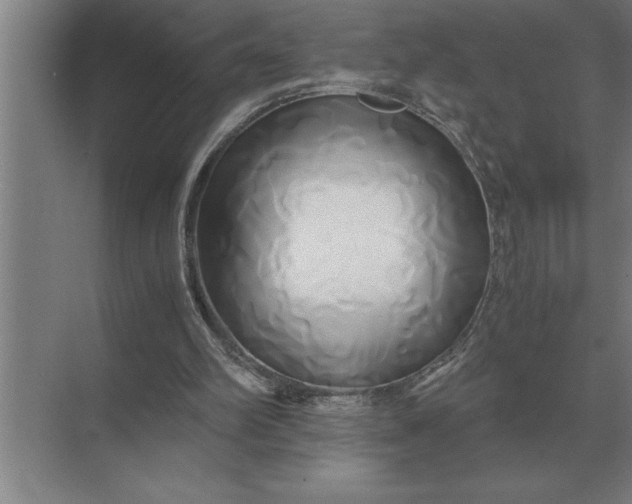 X0000071380102200607071852