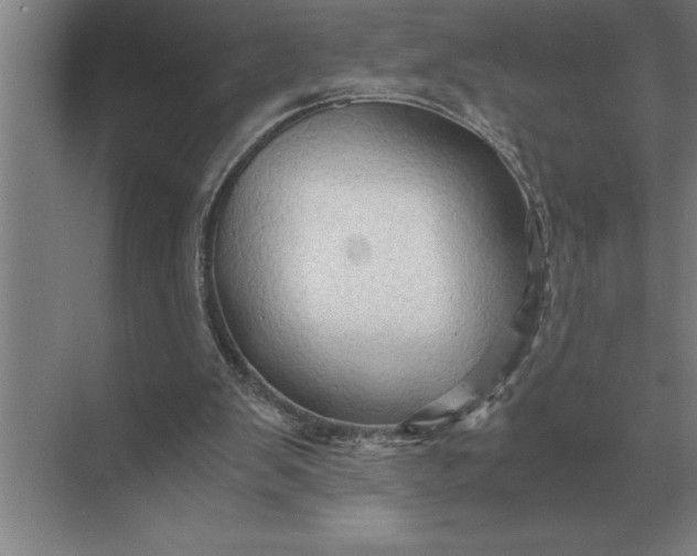 X0000071380103200607071852