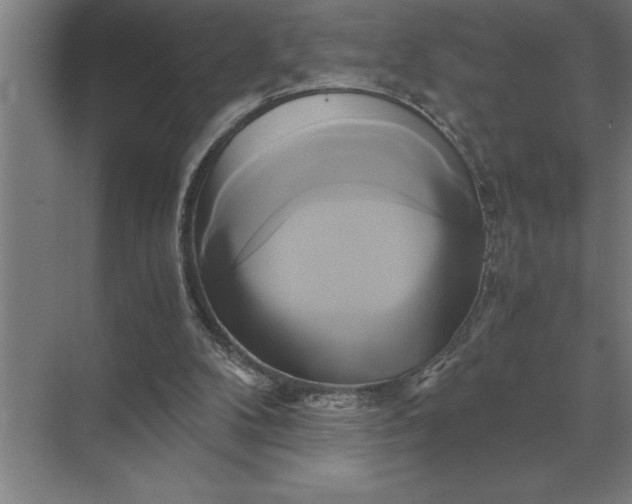 X0000071380104200607071852