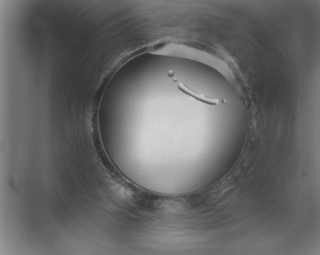 X0000071380106200607071852