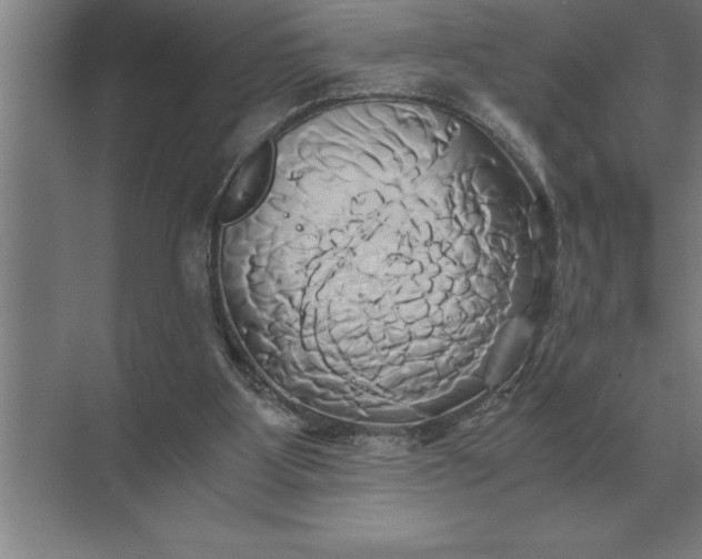 X0000071380107200607071852