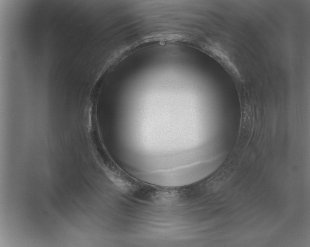 X0000071380110200607071852