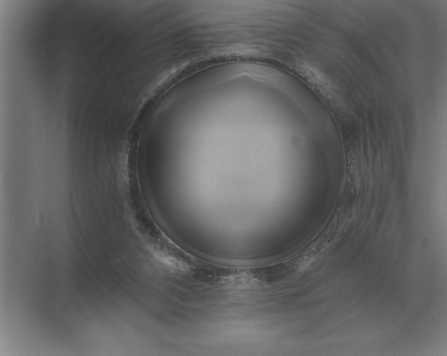 X0000071380112200607071852