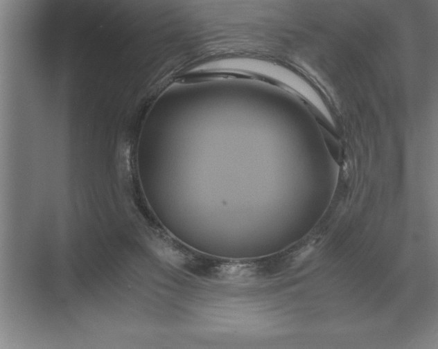 X0000071380117200607071852