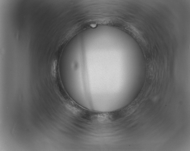 X0000071380118200607071851