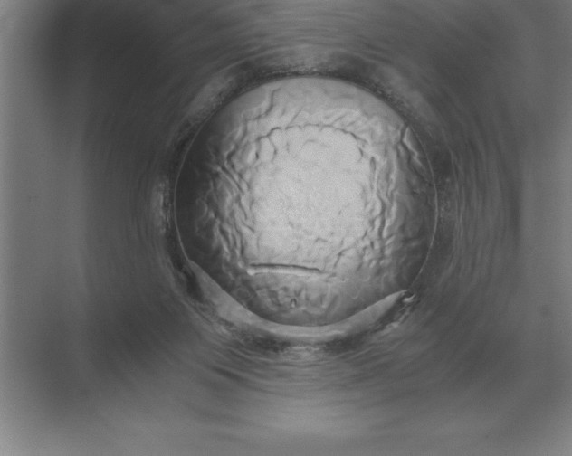 X0000071380119200607071851