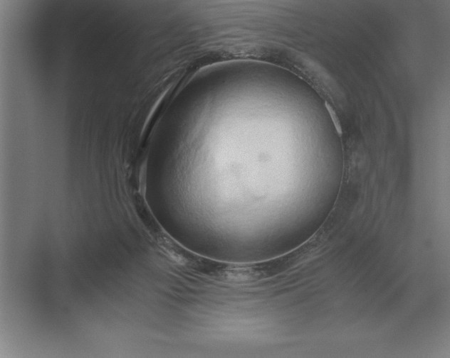 X0000071380121200607071851