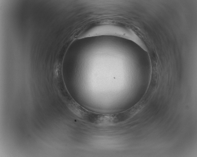 X0000071380125200607071851