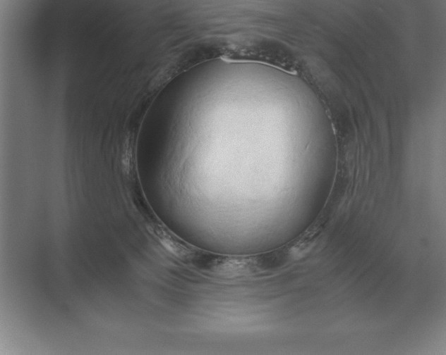 X0000071380129200607071851