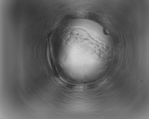 X0000071380131200607071851