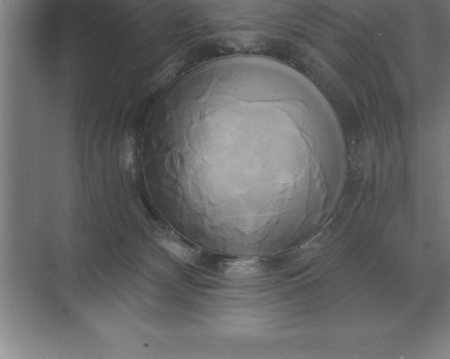 X0000071380132200607071851