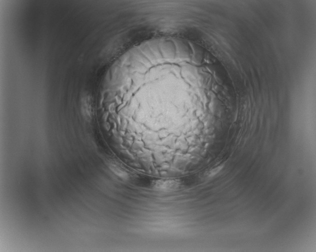 X0000071380135200607071851