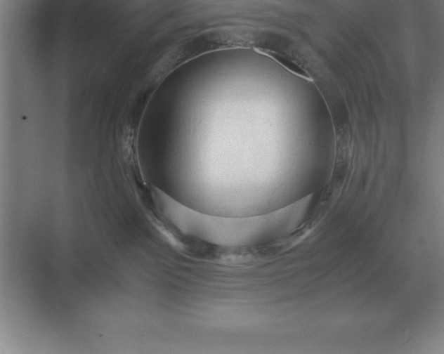 X0000071380141200607071851