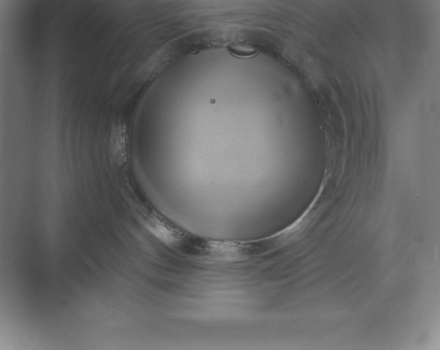 X0000071380144200607071851