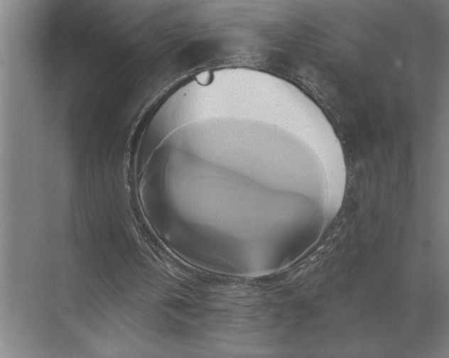 X0000071380146200607071850