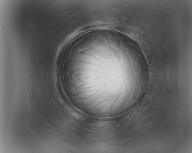 X0000071380149200607071850