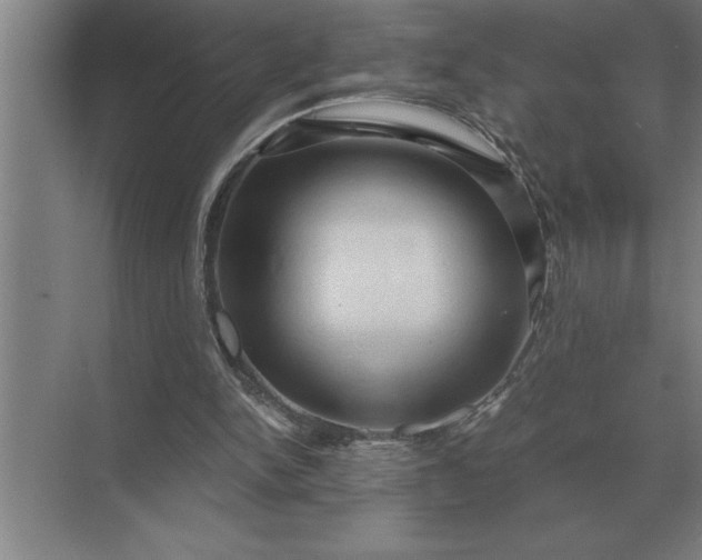 X0000071380150200607071850