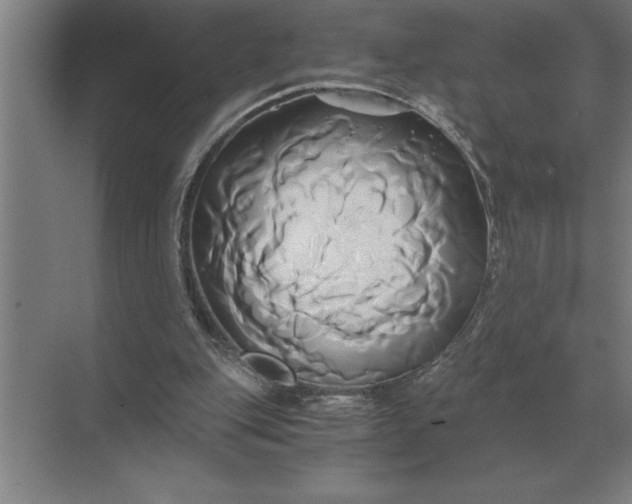 X0000071380151200607071850