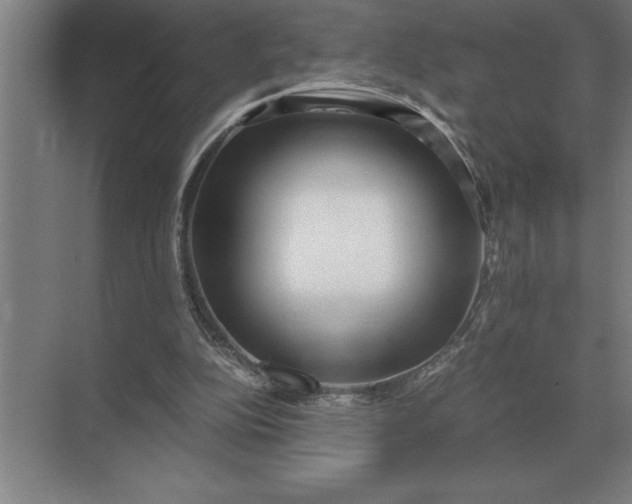 X0000071380152200607071850