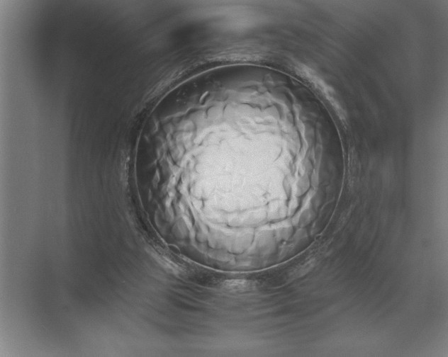 X0000071380153200607071850