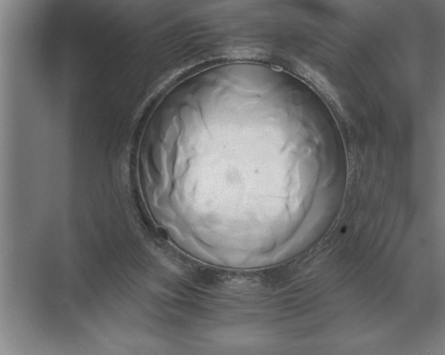 X0000071380155200607071850