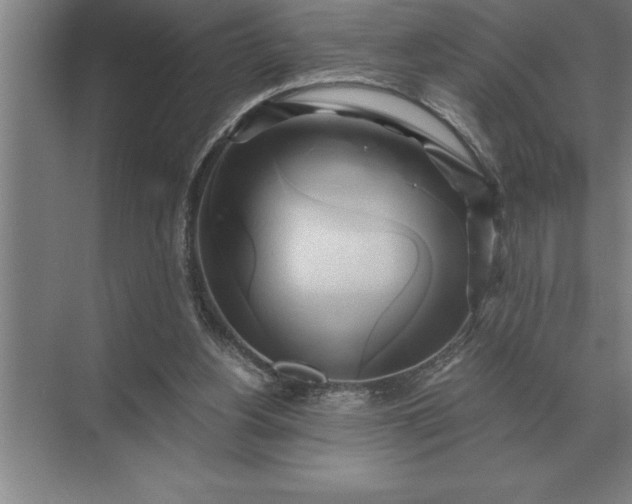 X0000071380156200607071850