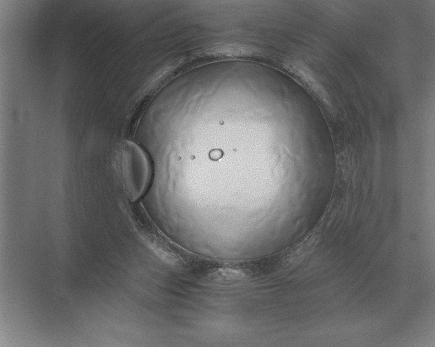 X0000071380159200607071850