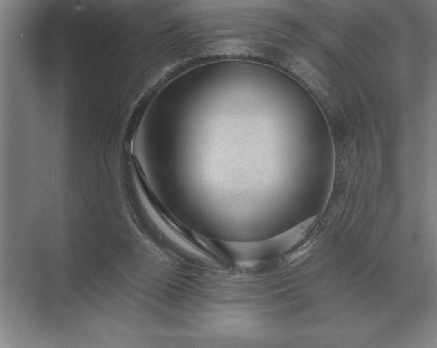 X0000071380160200607071850