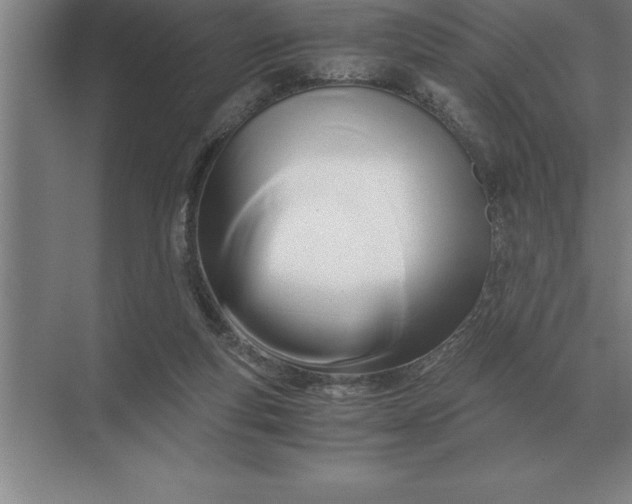 X0000071380163200607071851