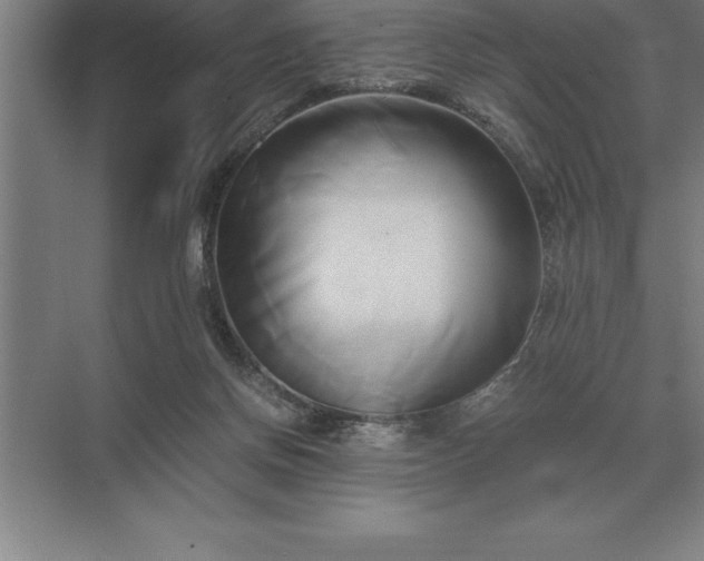 X0000071380166200607071851