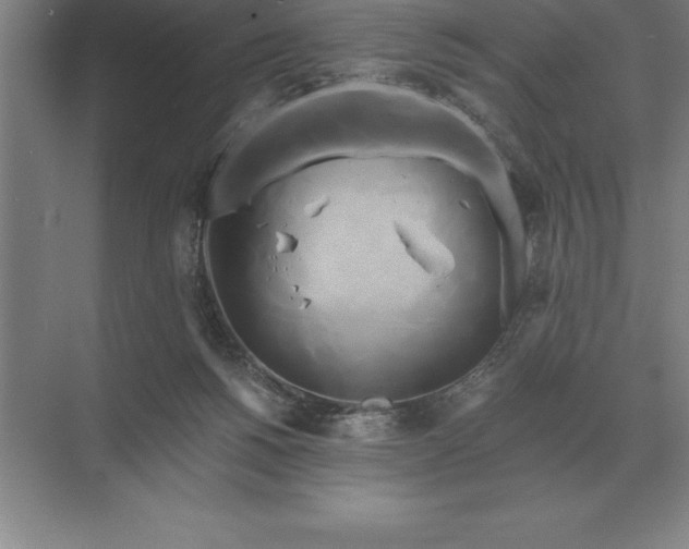 X0000071380168200607071851