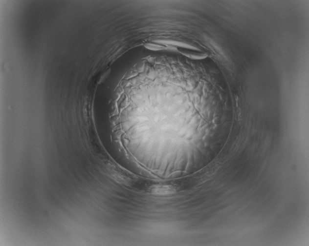 X0000071380169200607071851