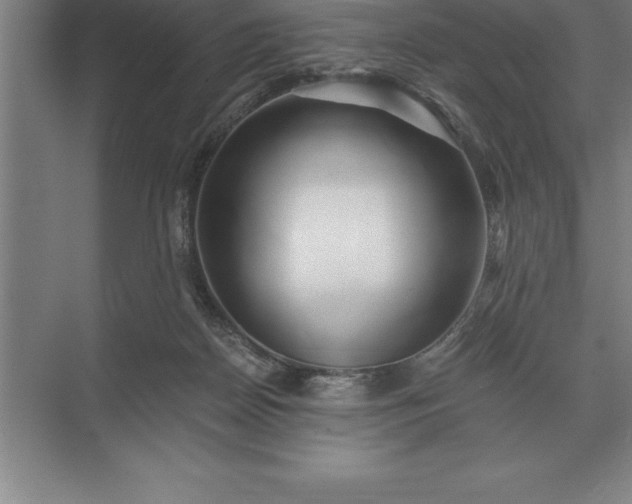 X0000071380170200607071851