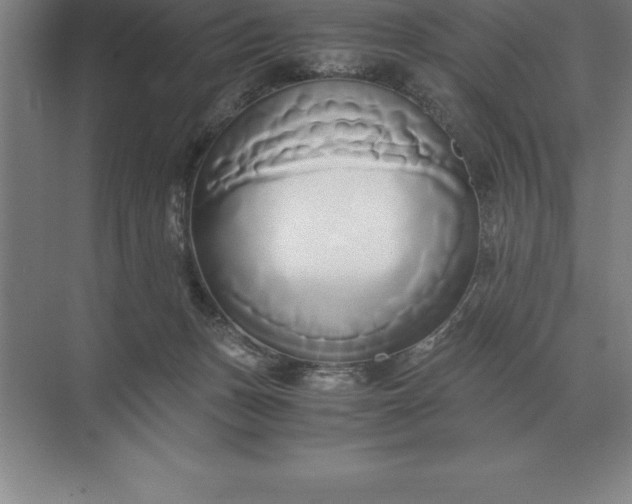 X0000071380175200607071851