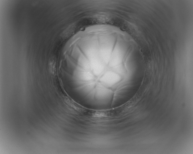 X0000071380177200607071851