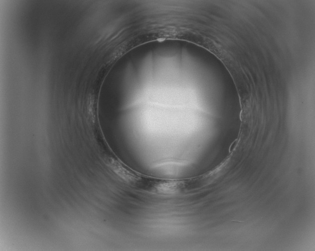 X0000071380178200607071851