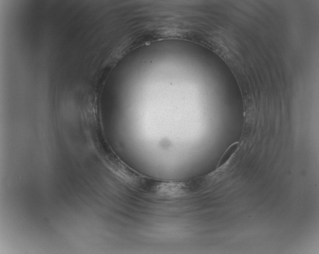 X0000071380179200607071851