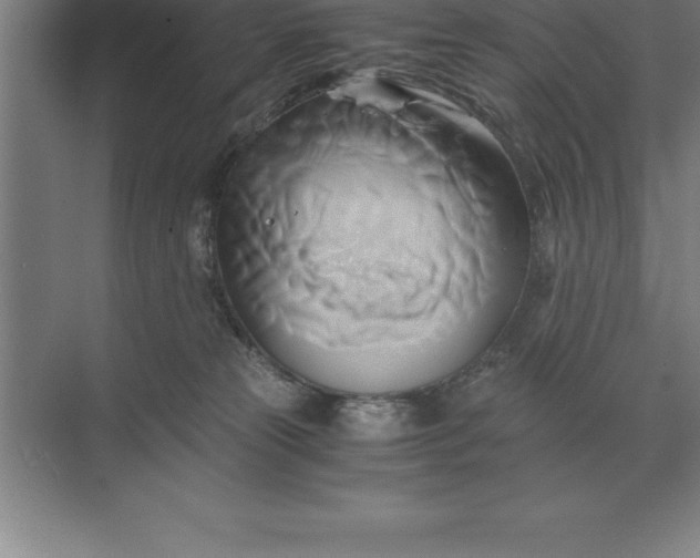 X0000071380181200607071851