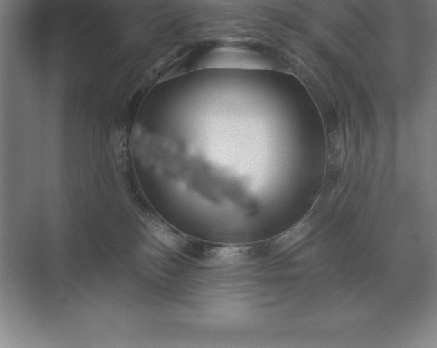 X0000071380184200607071851