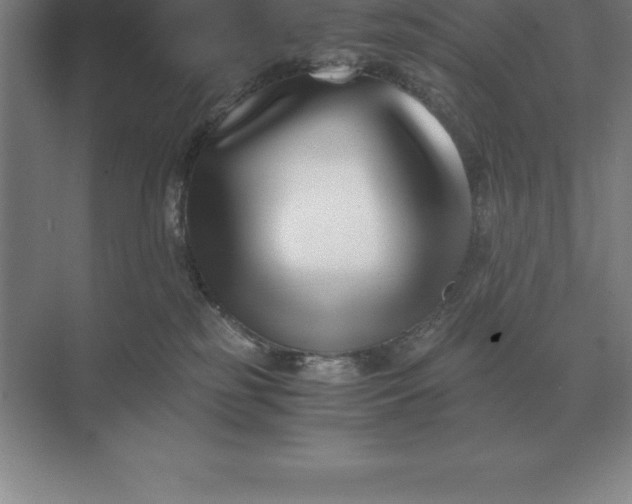 X0000071380185200607071851