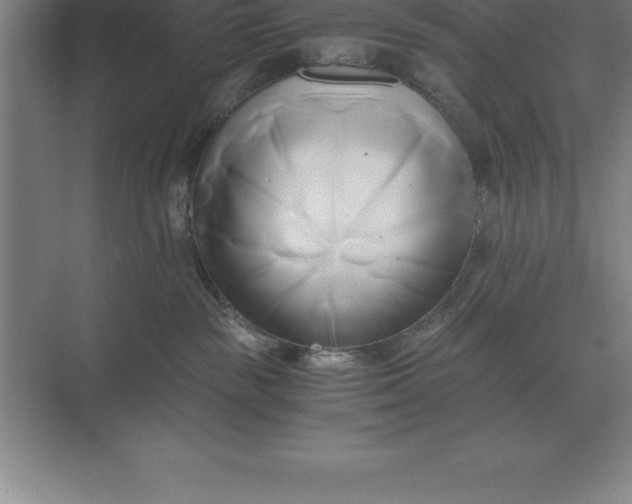 X0000071380189200607071851