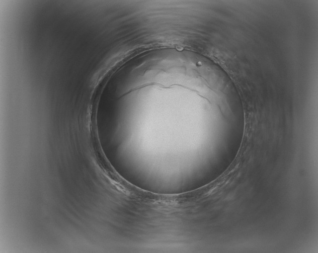 X0000071380194200607071850