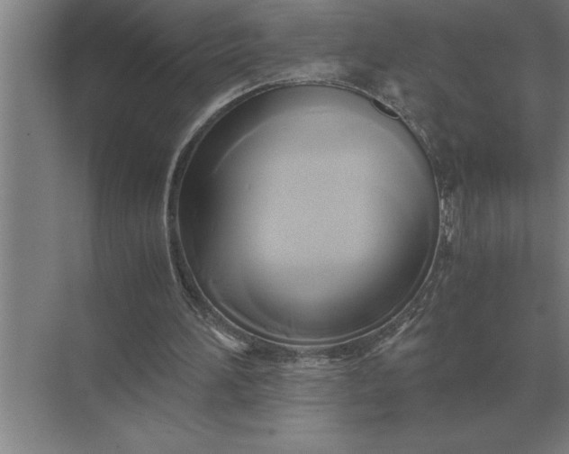 X0000071380196200607071850