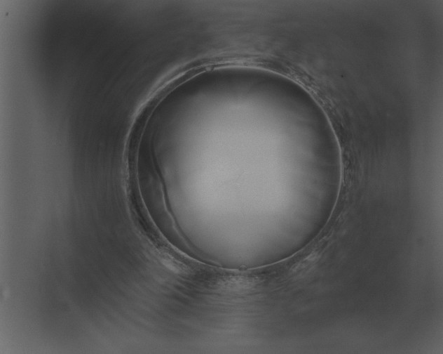 X0000071380198200607071850