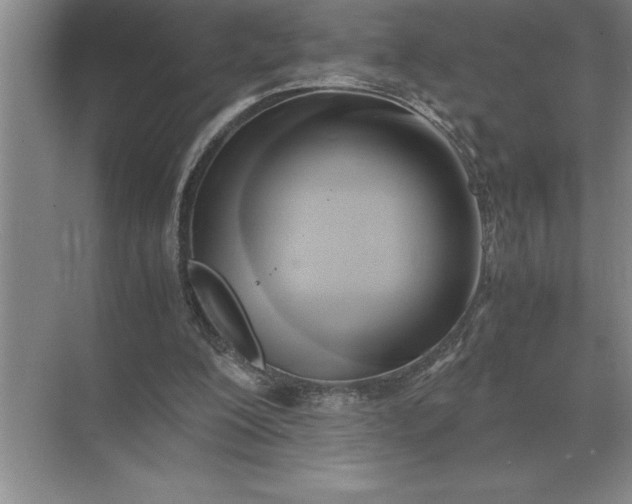 X0000071380200200607071850