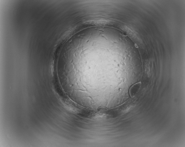 X0000071380206200607071850