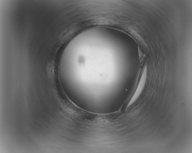 X0000071380207200607071850